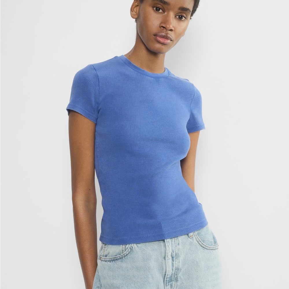 Aritzia Homestretch Rib Crew T-Shirt